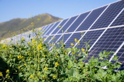 Atlas Renewable Energy and ODATA Partner to Drive the Data Center Renewable Energy Transition