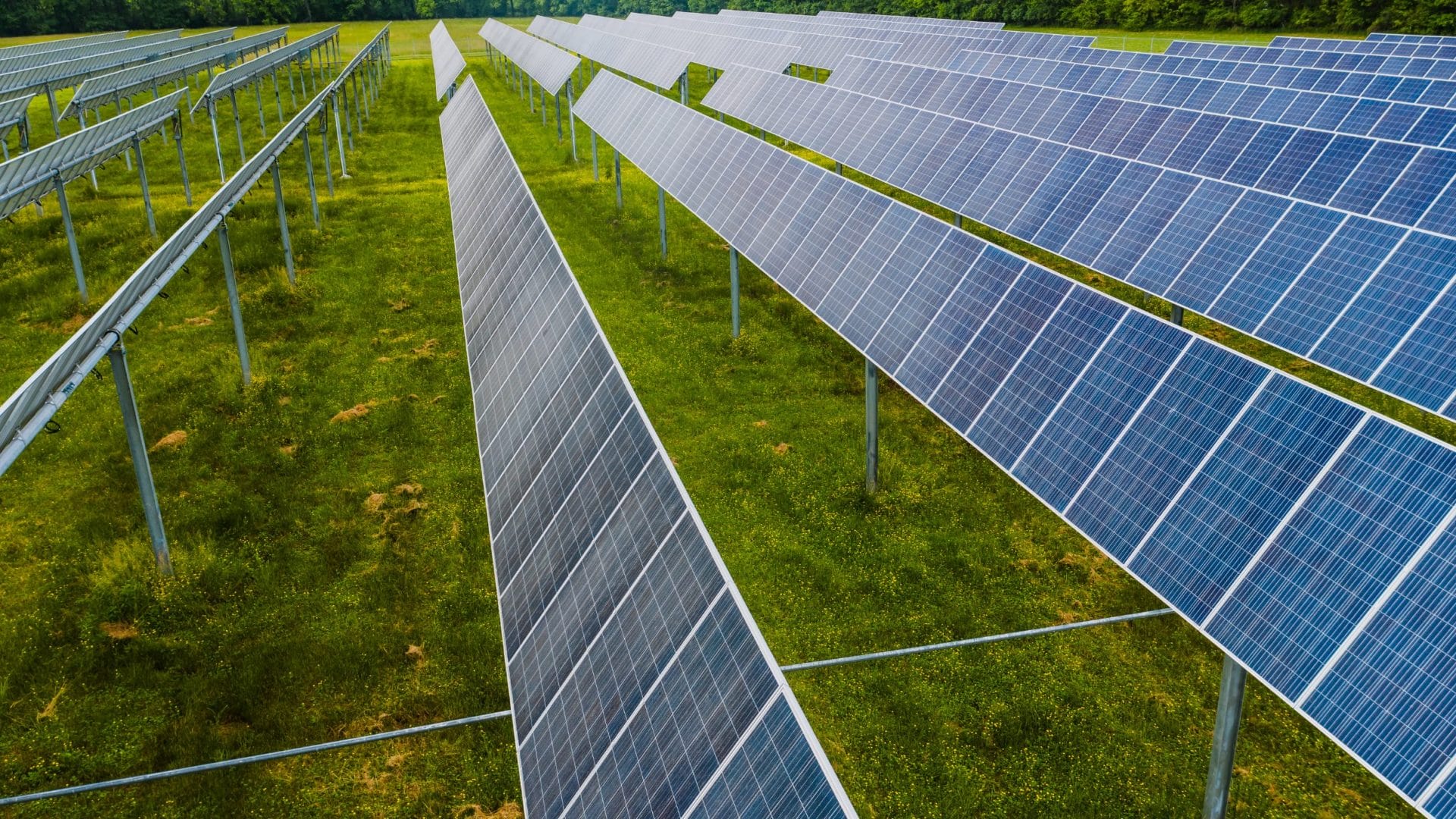 solar panels in a wide field